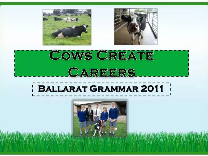 cows create careers