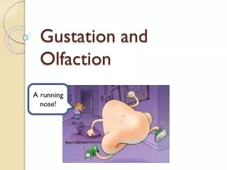 Gustation and Olfaction