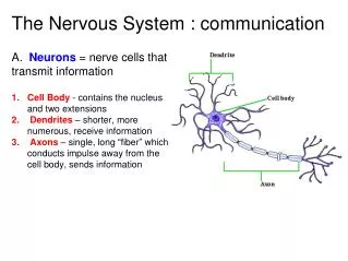 The Nervous System : communication