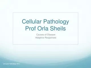 Cellular Pathology Prof Orla Sheils
