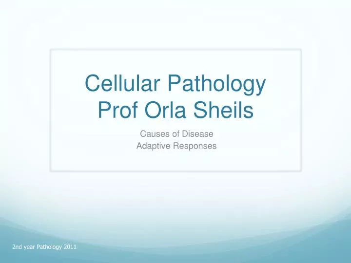 cellular pathology prof orla sheils