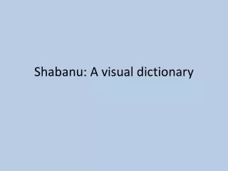 Shabanu: A visual dictionary