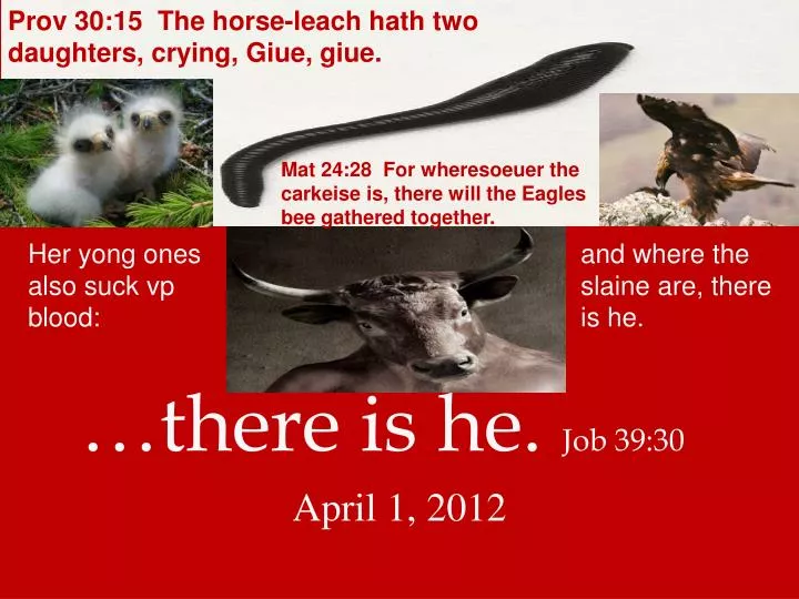 there is he job 39 30 april 1 2012