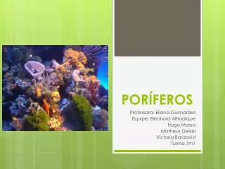 por feros