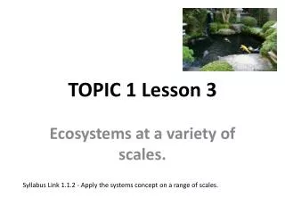 TOPIC 1 Lesson 3