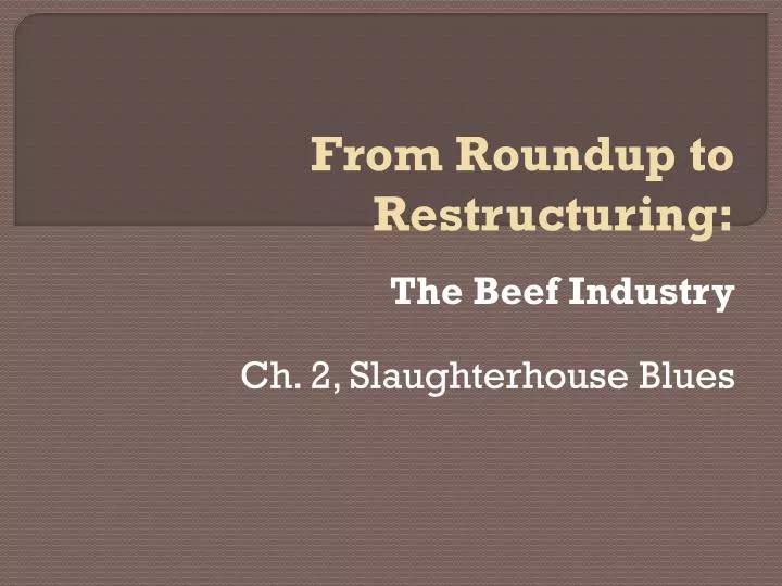 the beef industry ch 2 slaughterhouse blues