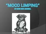 “ Moco Limping” by David Nava Monreal - slide 1