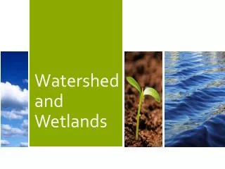 Watershed and Wetlands