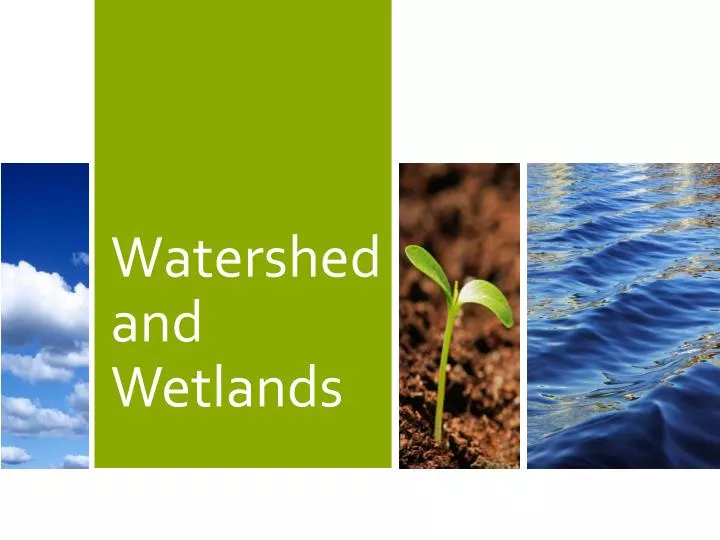 watershed and wetlands