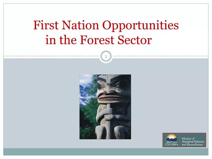 first nation opportunities in the forest sector