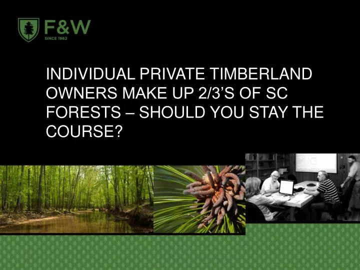 individual private timberland owners make up 2 3 s of sc forests should you stay the course