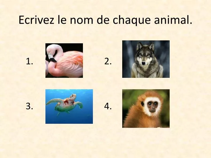 ecrivez le nom de chaque animal