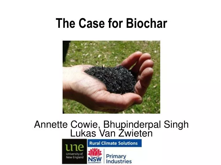 the case for biochar