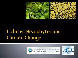 Lichens, Bryophytes and Climate Change