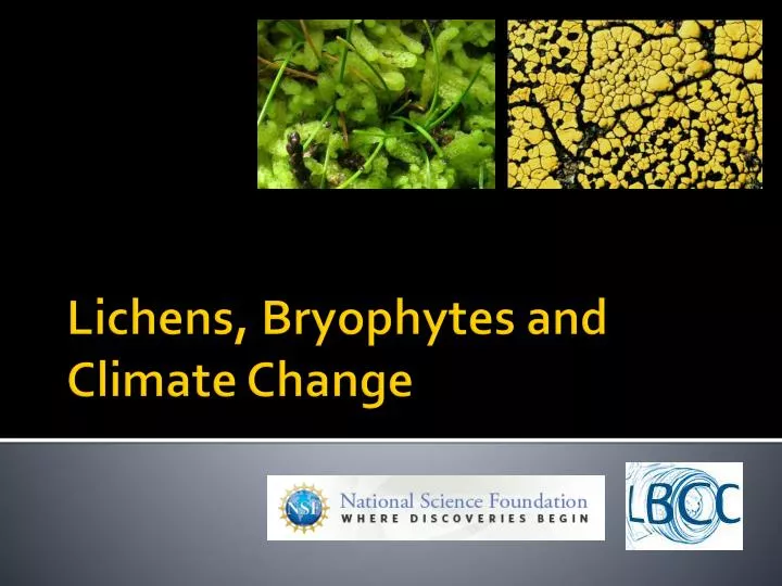 lichens bryophytes and climate change