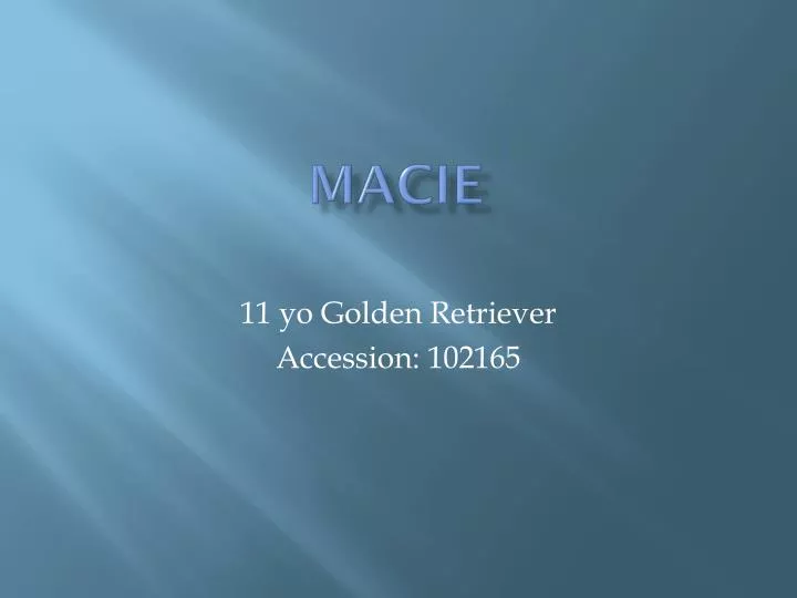 macie