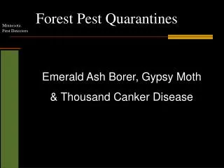 Forest Pest Quarantines