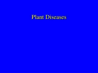 Plant Diseases