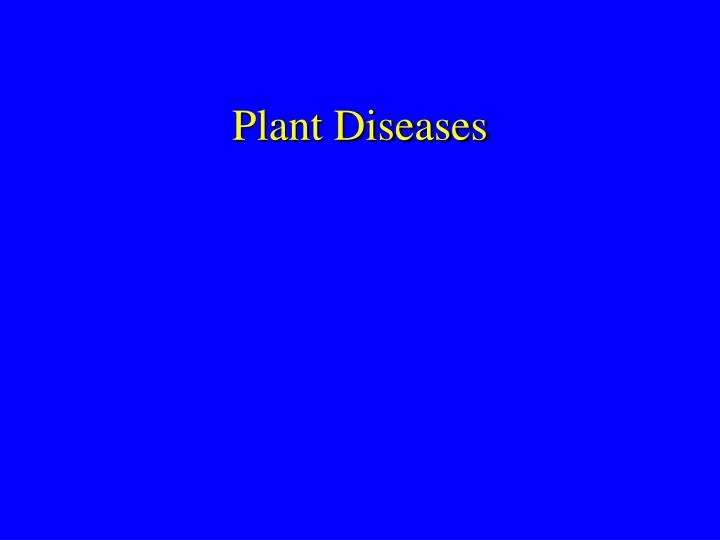 plant diseases