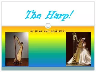 The Harp!