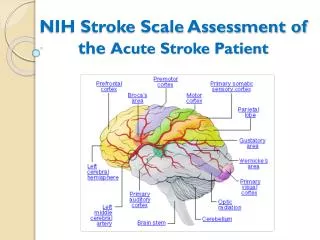NIH Stroke Scale Assessment of the Acute Stroke Patient