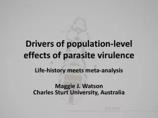 Drivers of population-level effects of parasite virulence