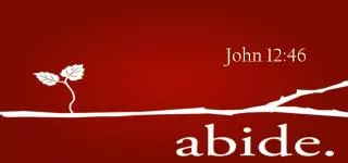john 12 46