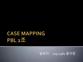 CASE MAPPING PBL 2 조