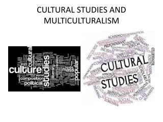 CULTURAL STUDIES AND MULTICULTURALISM