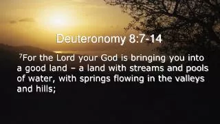 Deuteronomy 8:7-14