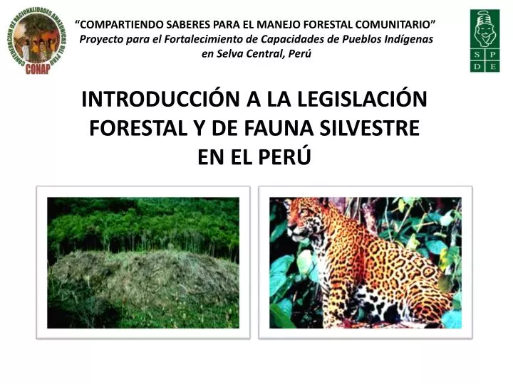 introducci n a la legislaci n forestal y de fauna silvestre en el per