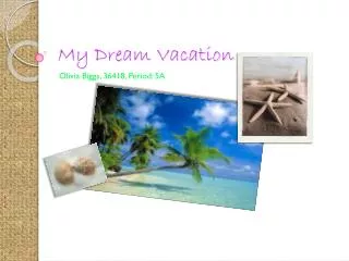 My Dream Vacation