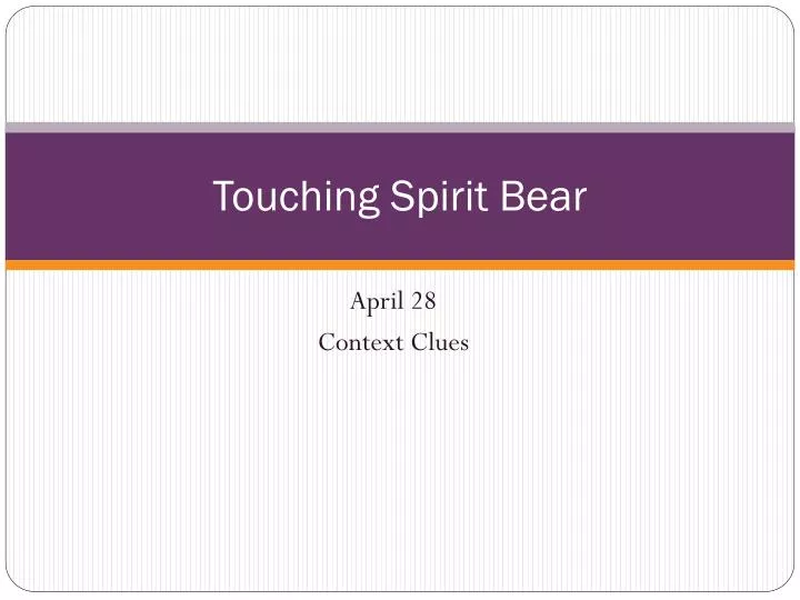 touching spirit bear