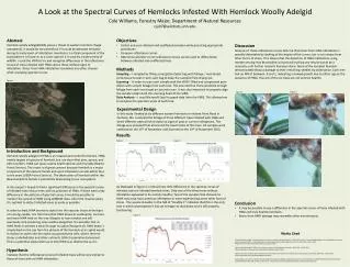 A Look at the Spectral Curves of Hemlocks Infested With Hemlock Woolly Adelgid