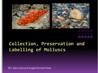 Collection, Preservation and Labelling of Molluscs
