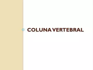 coluna vertebral