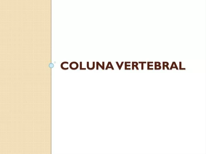 coluna vertebral