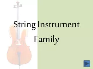 String Instrument Family