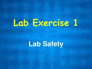 Lab Exercise 1