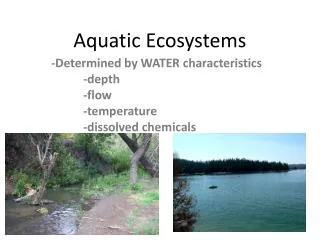 Aquatic Ecosystems