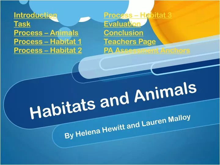 habitats and animals