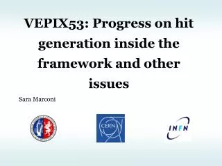 VEPIX53: Progress on hit generation inside the framework and other issues