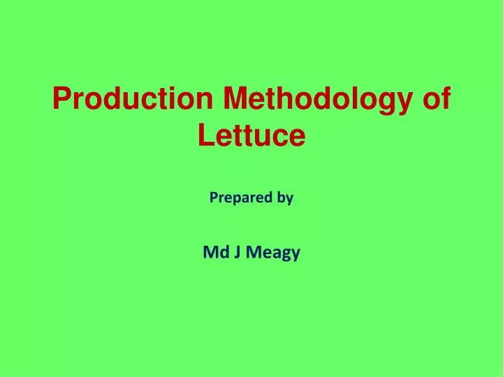 production methodology of lettuce
