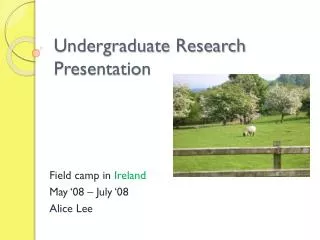 Undergraduate Research Presentation