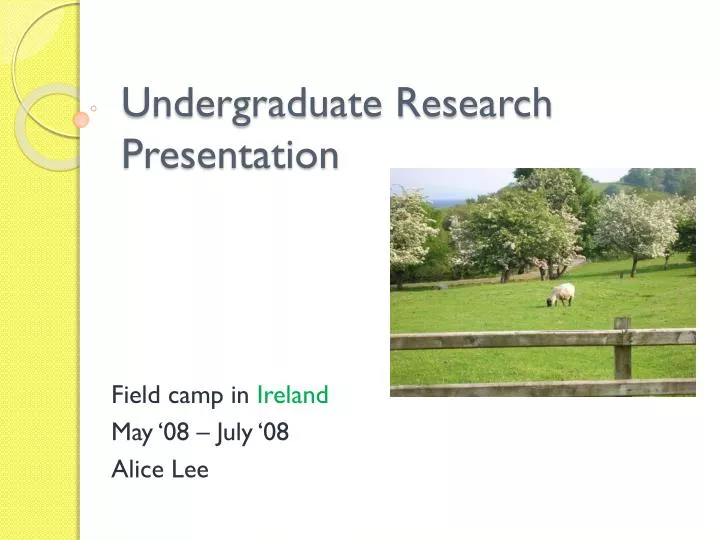undergraduate research presentation