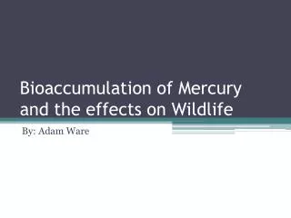 bioaccumulation of mercury and the effects on wildlife