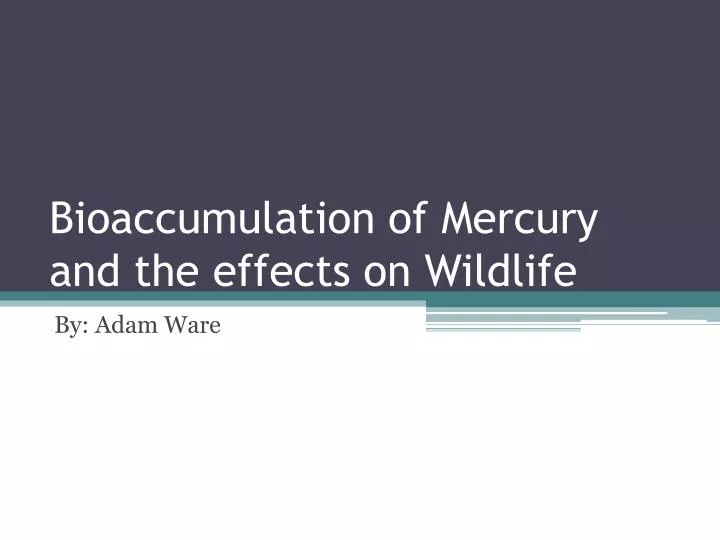 bioaccumulation of mercury and the effects on wildlife