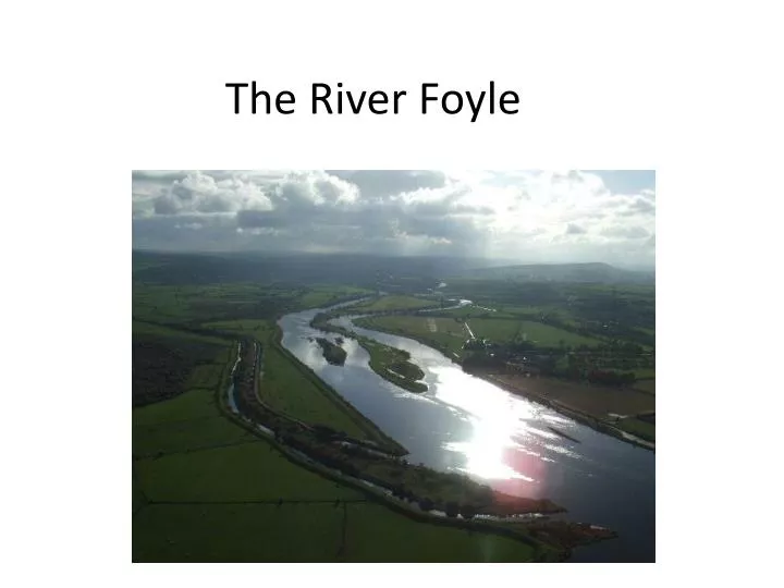 the river foyle