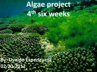 Algae project 4 th six weeks