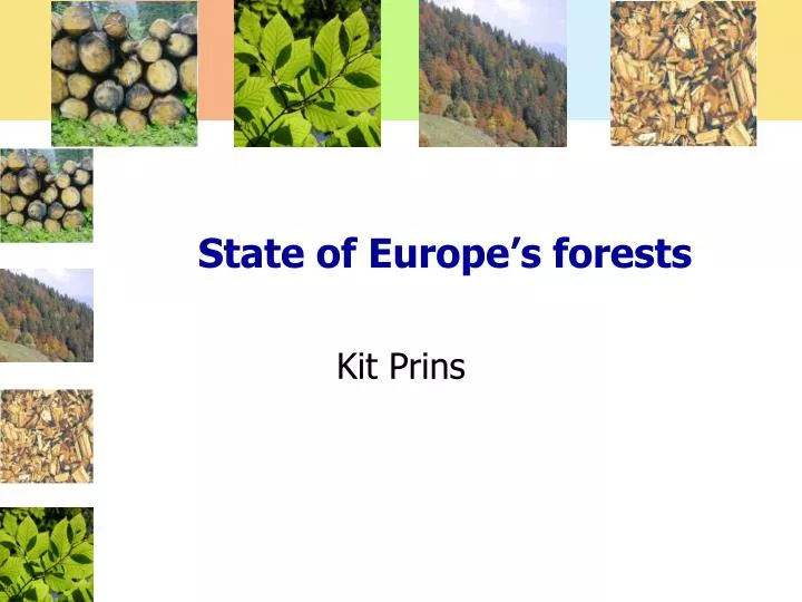 state of europe s forests
